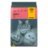 Gatos Adultos – Carne